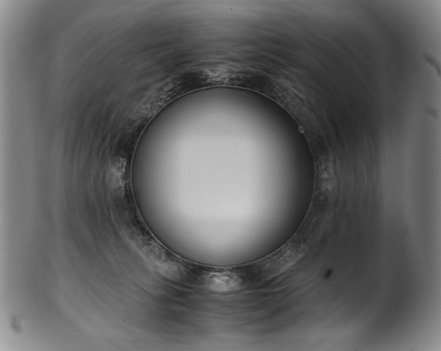 X0000102470275200808081257
