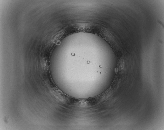 X0000102470276200808081257