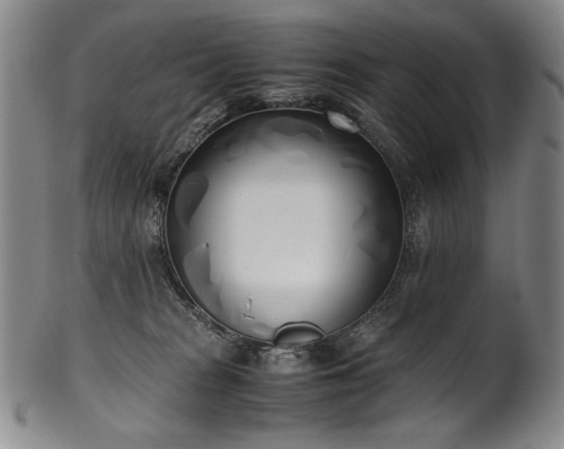 X0000102470277200808081257