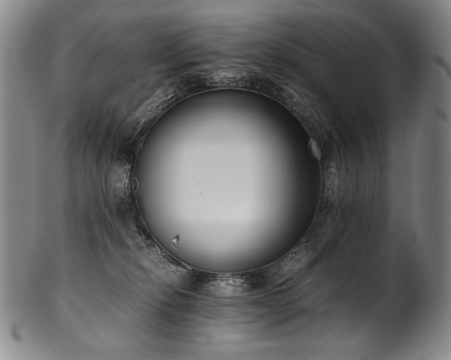 X0000102470278200808081257
