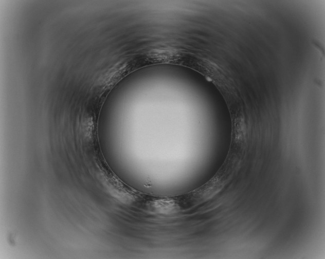 X0000102470279200808081257
