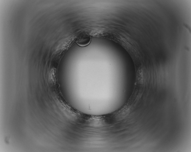 X0000102470280200808081257