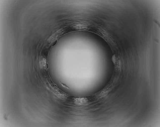 X0000102470281200808081257
