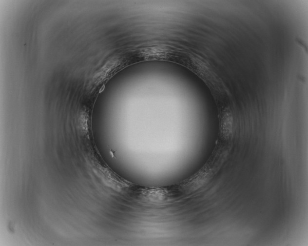 X0000102470282200808081257