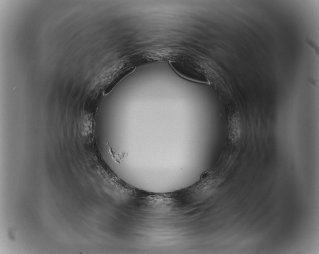 X0000102470284200808081257
