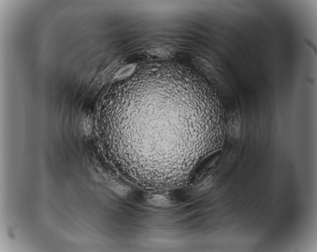 X0000102470285200808081257