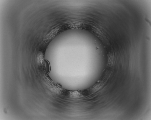 X0000102470287200808081257