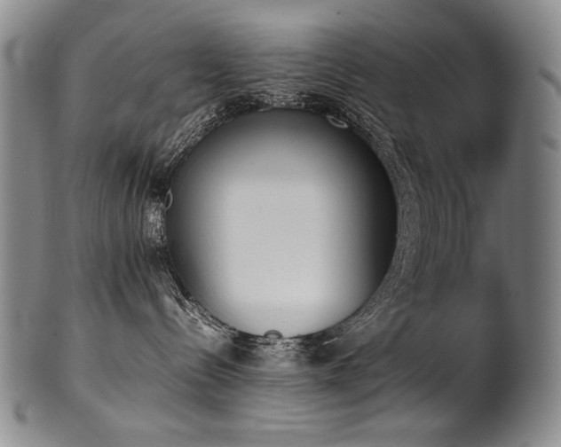 X0000102470288200808081257