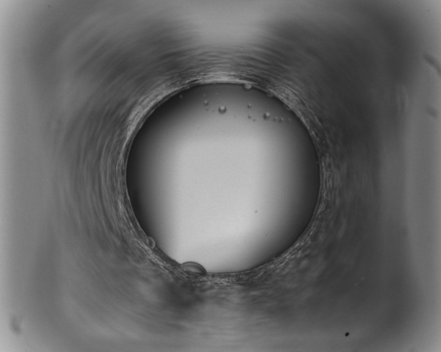 X0000102470289200808081257
