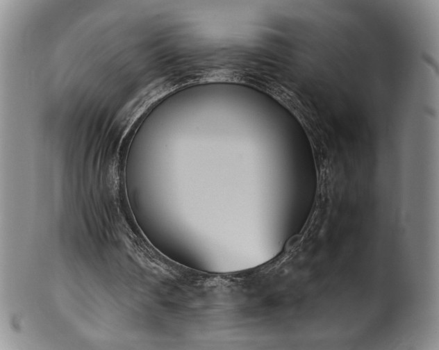 X0000102470290200808081257