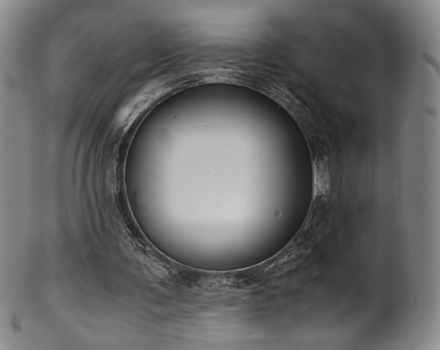 X0000102470291200808081257