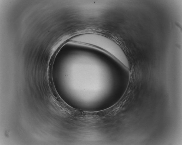 X0000102470292200808081257