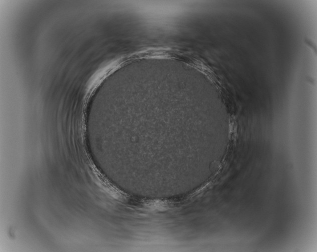 X0000102470293200808081257