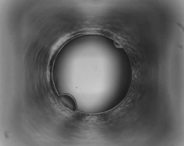 X0000102470294200808081257
