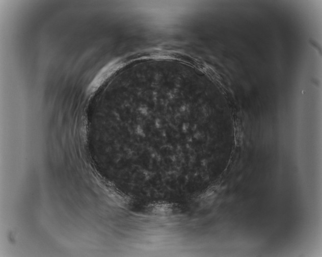X0000102470295200808081257