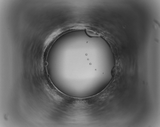 X0000102470296200808081257