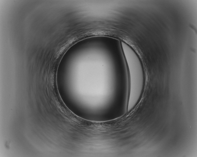 X0000102470297200808081257