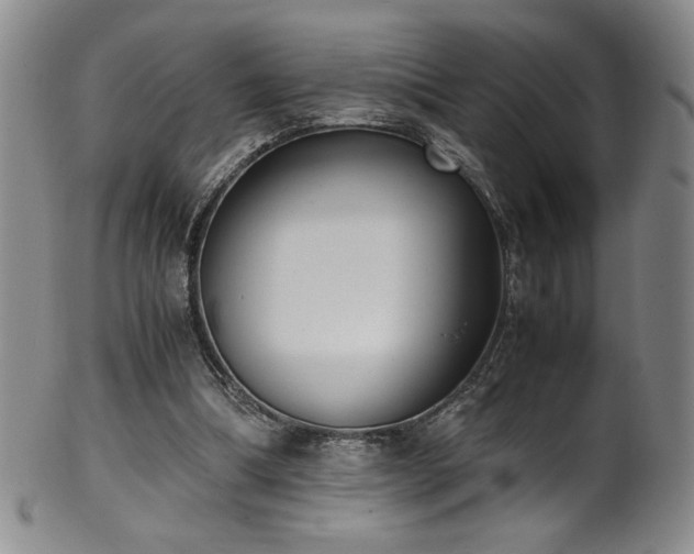 X0000102470298200808081257