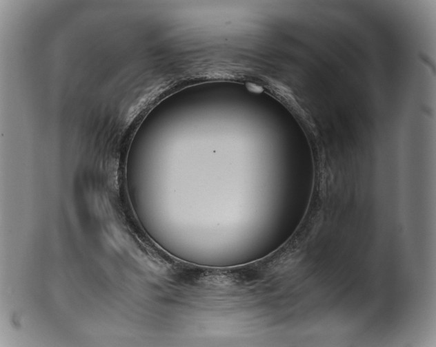 X0000102470299200808081257
