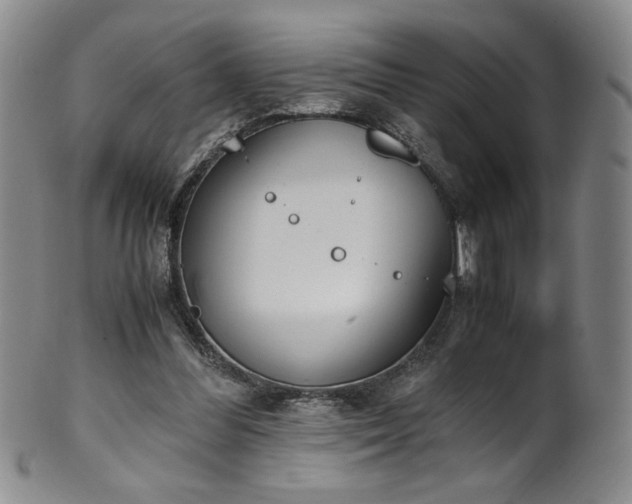 X0000102470300200808081257