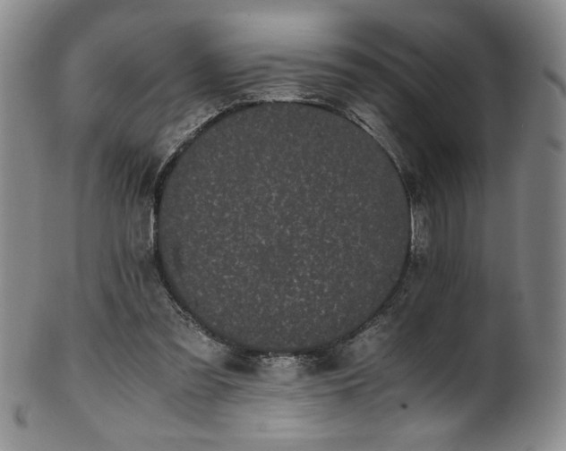 X0000102470301200808081257