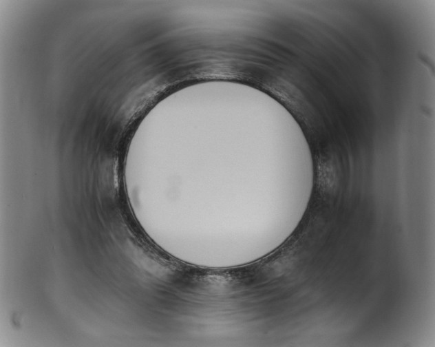 X0000102470302200808081257