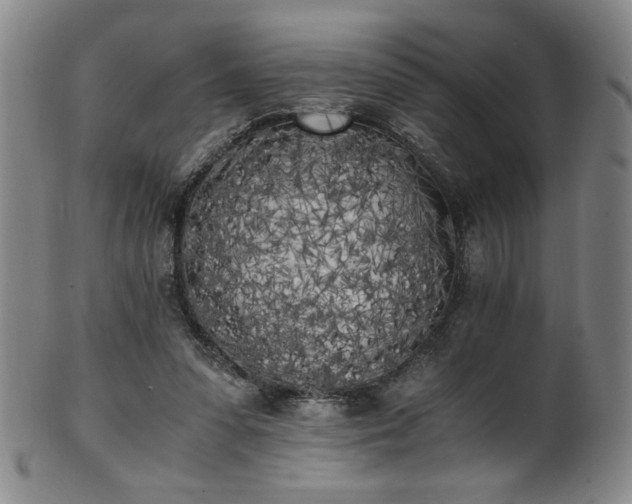 X0000102470303200808081257