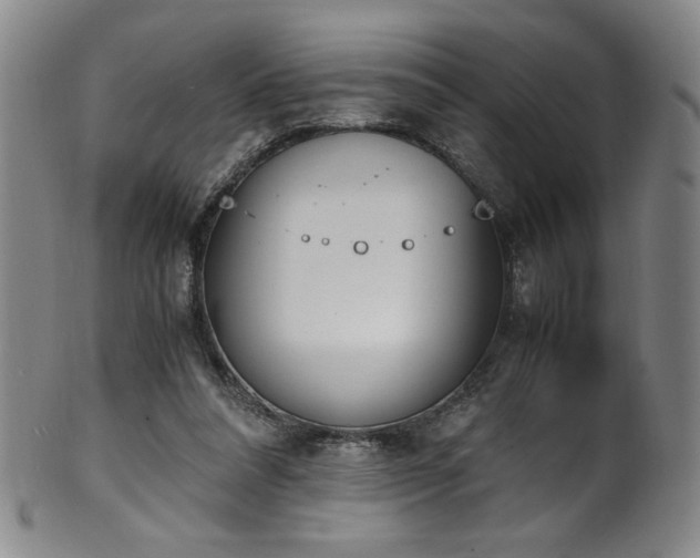 X0000102470304200808081257