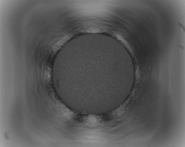 X0000102470305200808081257