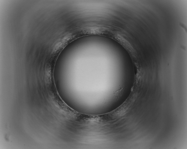 X0000102470306200808081257