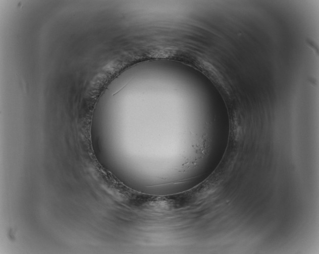 X0000102470307200808081256