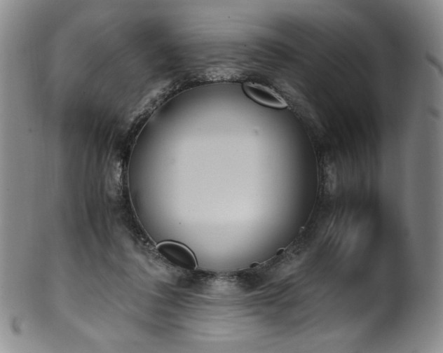 X0000102470308200808081256
