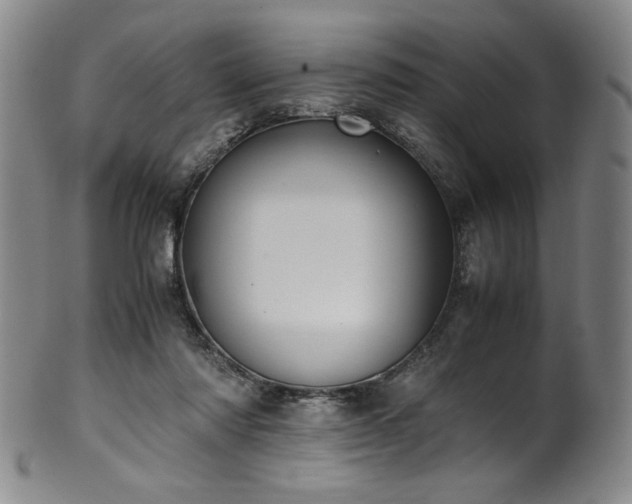 X0000102470310200808081256