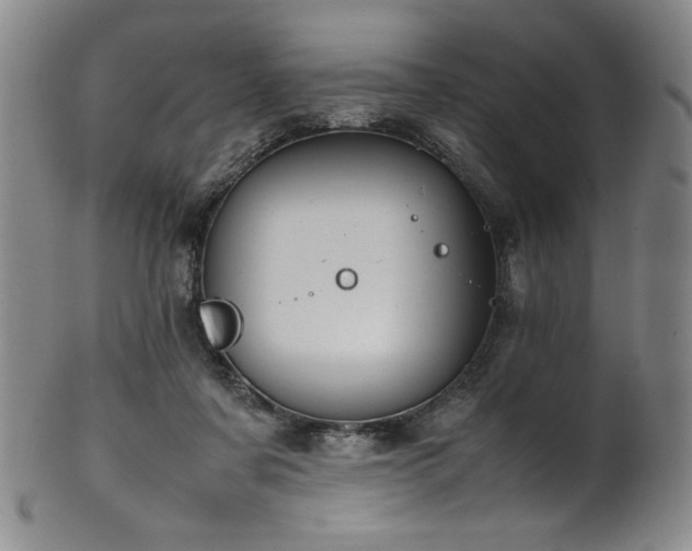 X0000102470311200808081256