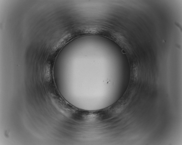 X0000102470312200808081256