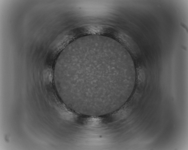 X0000102470313200808081256