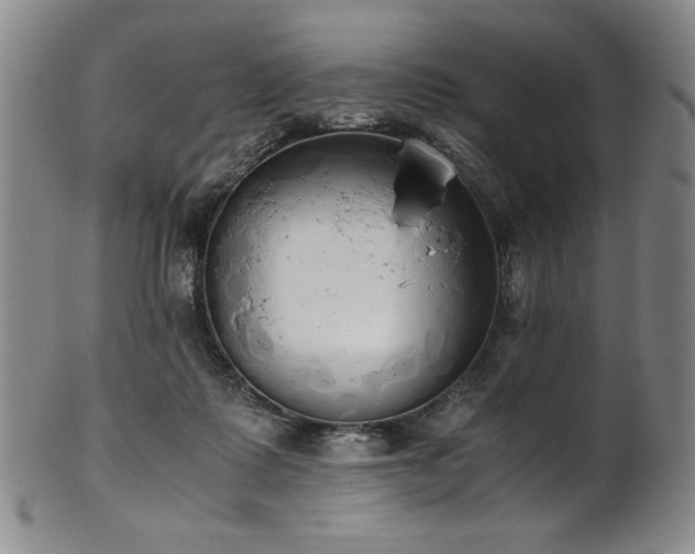 X0000102470315200808081256