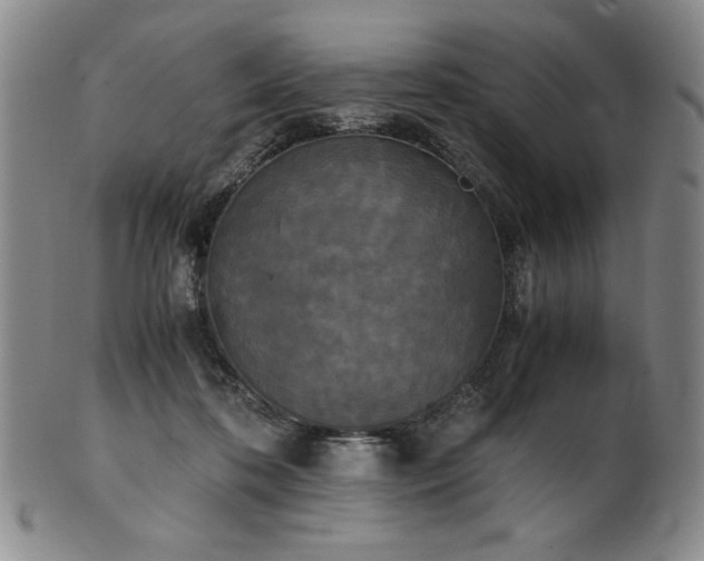 X0000102470316200808081256