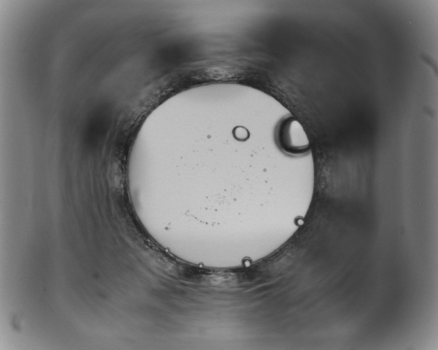 X0000102470317200808081256