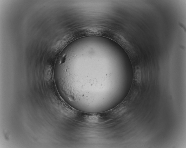 X0000102470318200808081256