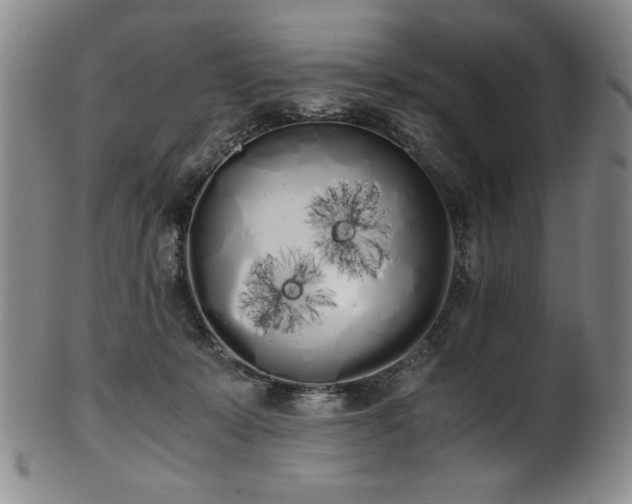 X0000102470319200808081256
