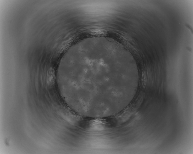 X0000102470320200808081256