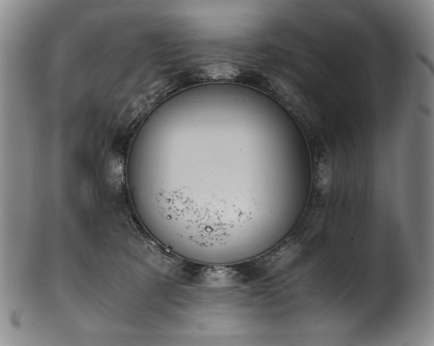 X0000102470321200808081256