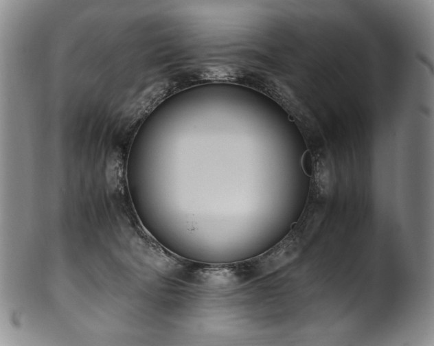 X0000102470322200808081256