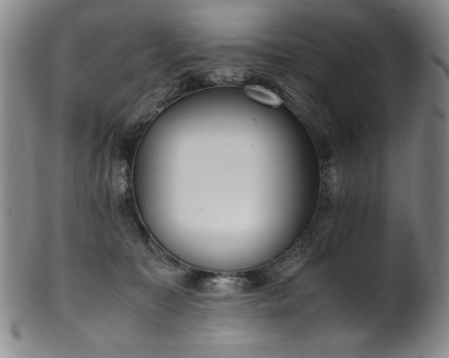 X0000102470323200808081256