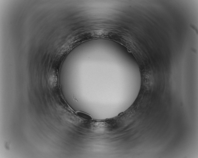 X0000102470324200808081256