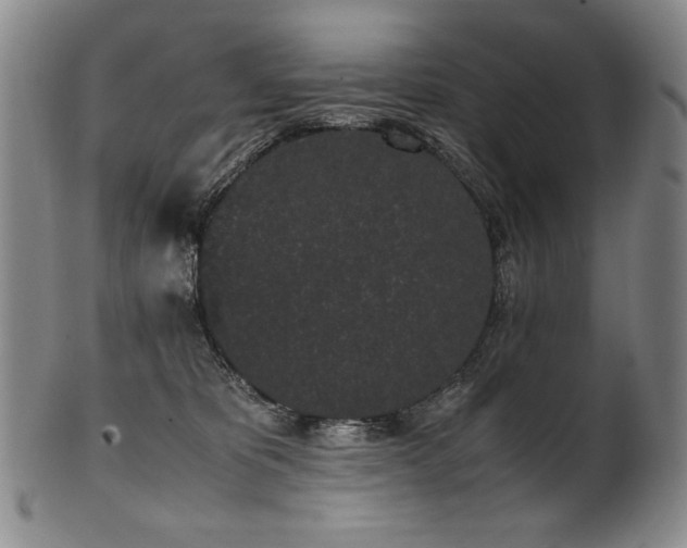 X0000102470325200808081256