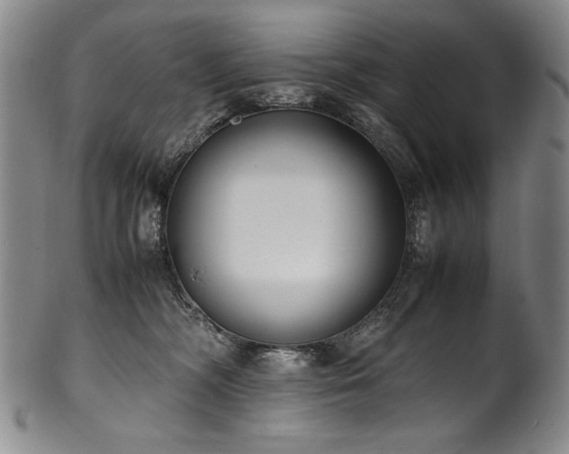 X0000102470326200808081256