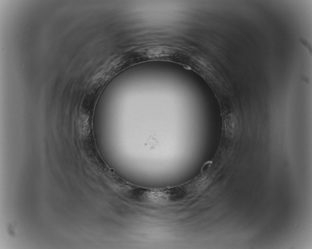 X0000102470327200808081256