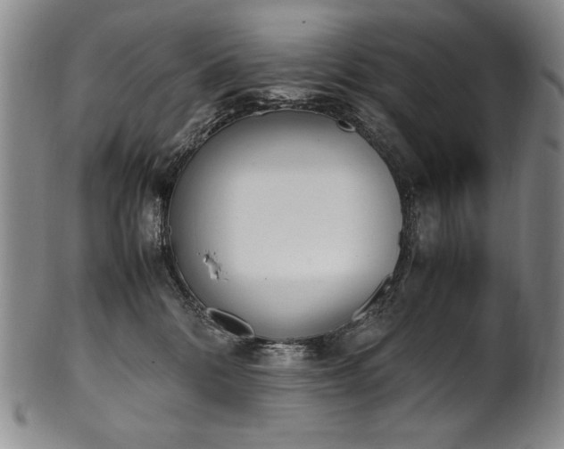 X0000102470328200808081256